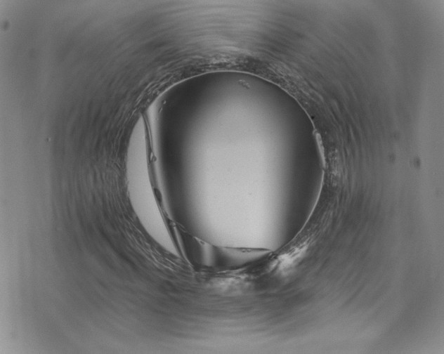 X0000077350916200610201320