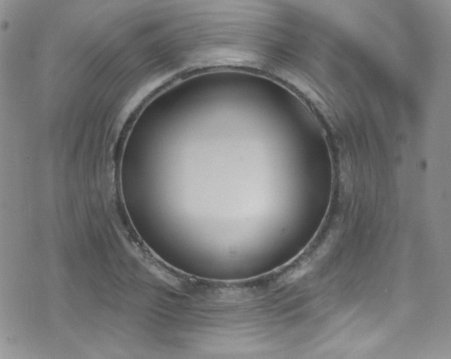 X0000077350933200610201321