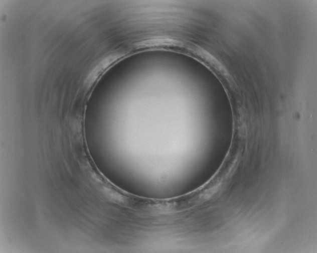X0000077350937200610201321
