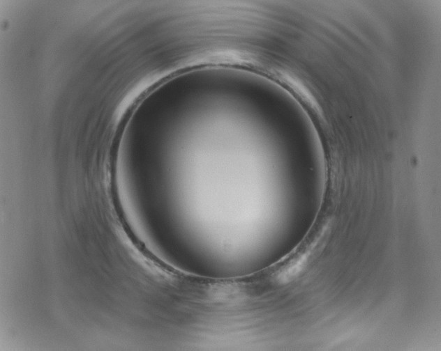 X0000077350944200610201321
