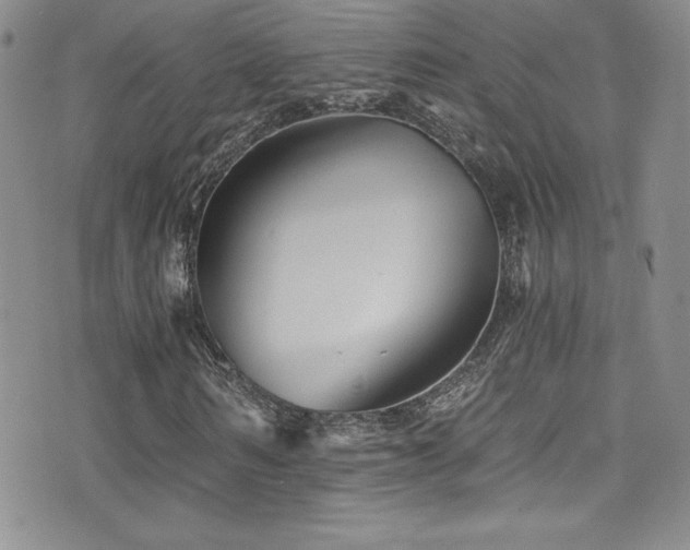 X0000077350962200610201320