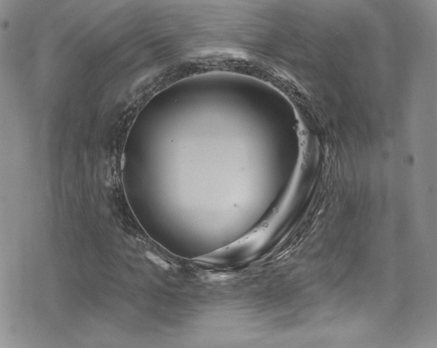 X0000077350965200610201320