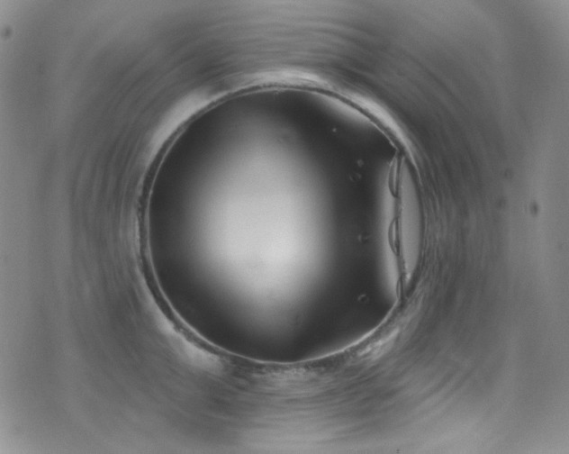 X0000077350999200610201320