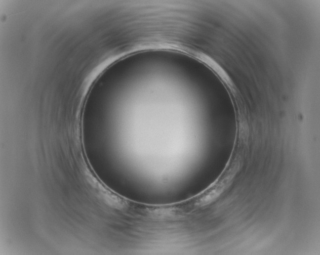 X0000077351004200610201320