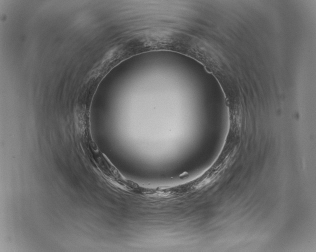X0000077351012200610201319