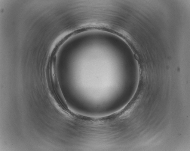 X0000077351030200610201319