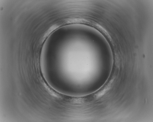 X0000077351041200610201319