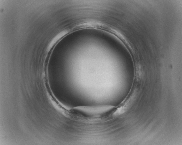 X0000077351042200610201319