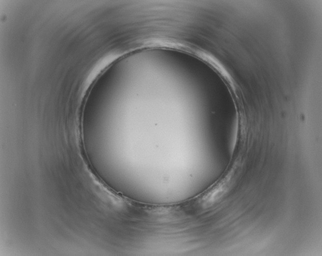 X0000077351048200610201319