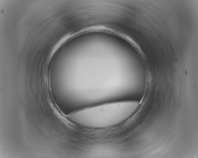 X0000077351054200610201320