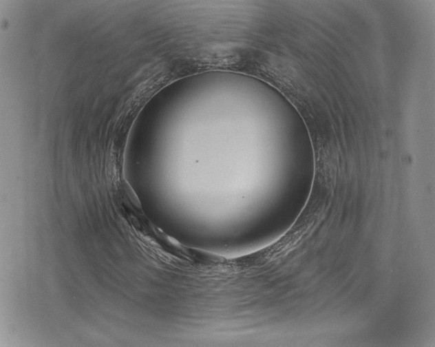 X0000077351058200610201319