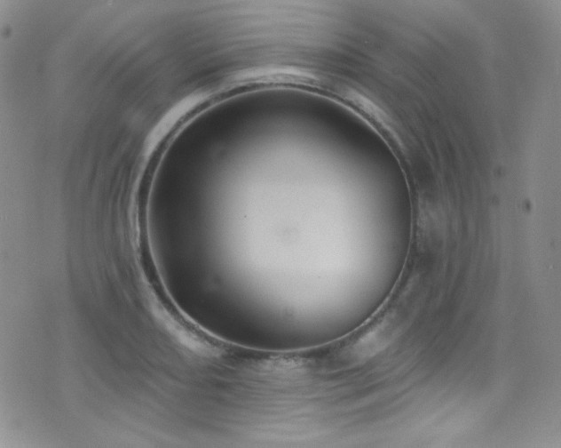 X0000077351082200610201318