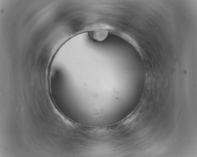 X0000077351103200610201318