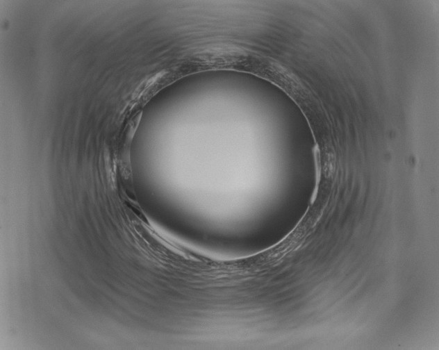 X0000077351108200610201317