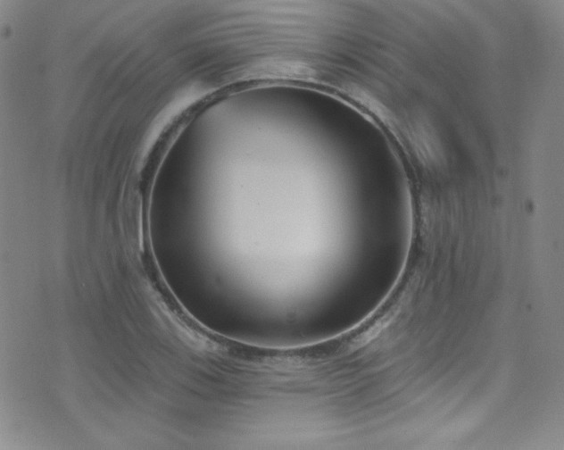 X0000077351123200610201318