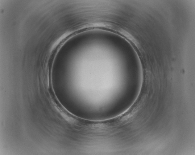 X0000077351127200610201318