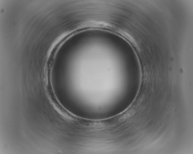 X0000077351128200610201318