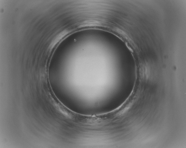 X0000077351129200610201318