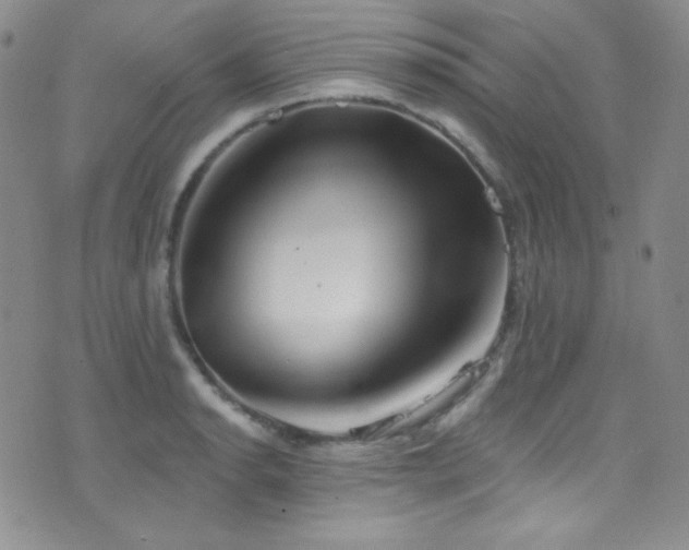 X0000077351134200610201318