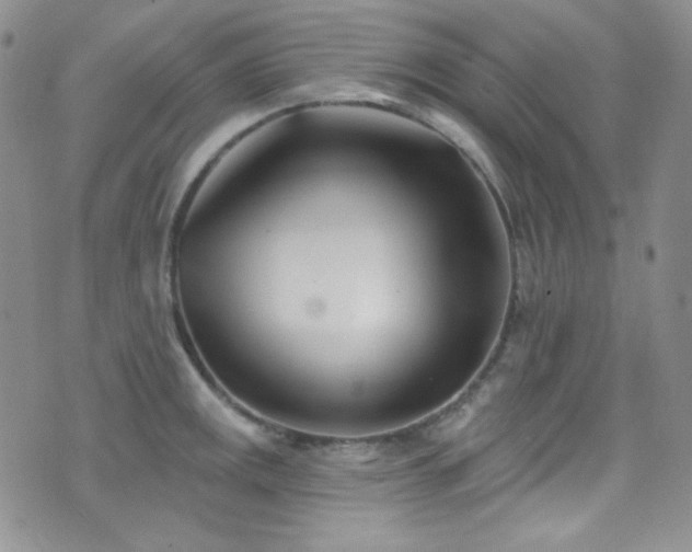 X0000077351141200610201318
