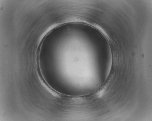X0000077351142200610201318