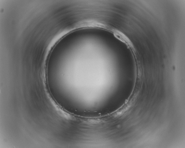X0000077351144200610201318