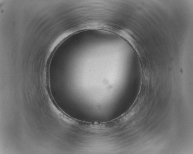 X0000077351147200610201318