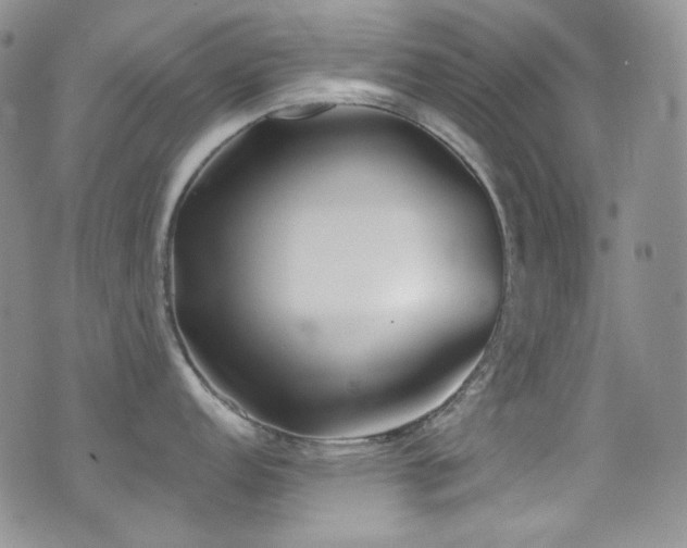 X0000077351152200610201318