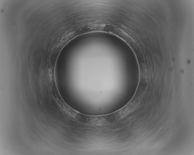 X0000077351154200610201317