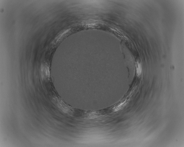 X0000077351155200610201317