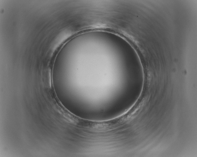 X0000077351171200610201317