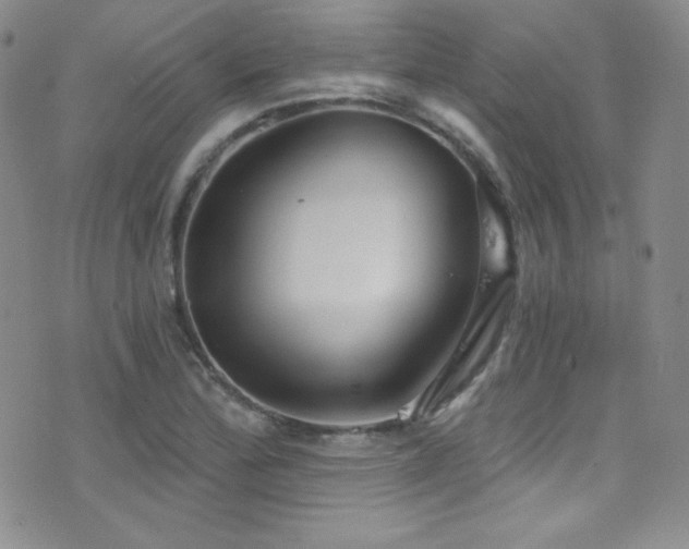 X0000077351172200610201317