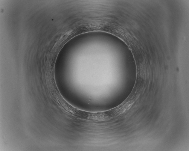 X0000077351201200610201316