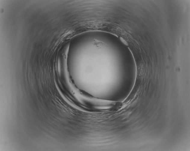 X0000077351202200610201316