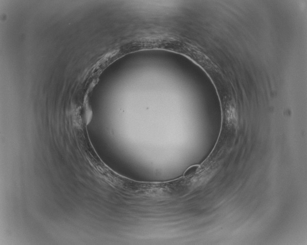 X0000077351204200610201316