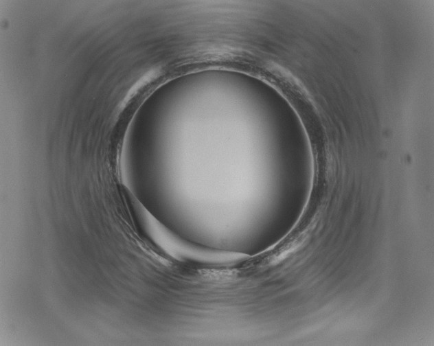 X0000077351210200610201316