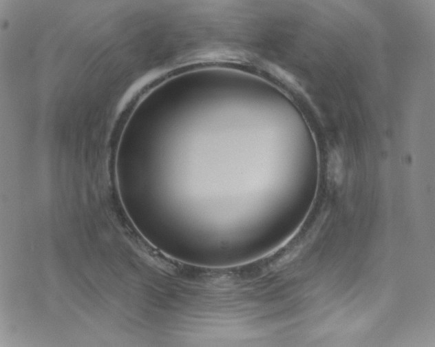 X0000077351222200610201316