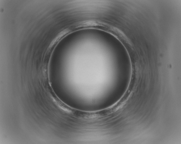 X0000077351225200610201316
