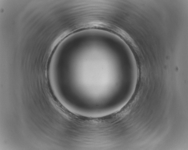X0000077351234200610201316