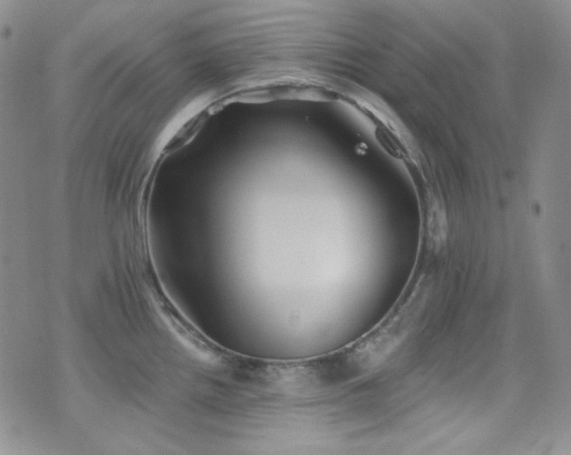 X0000077351242200610201316