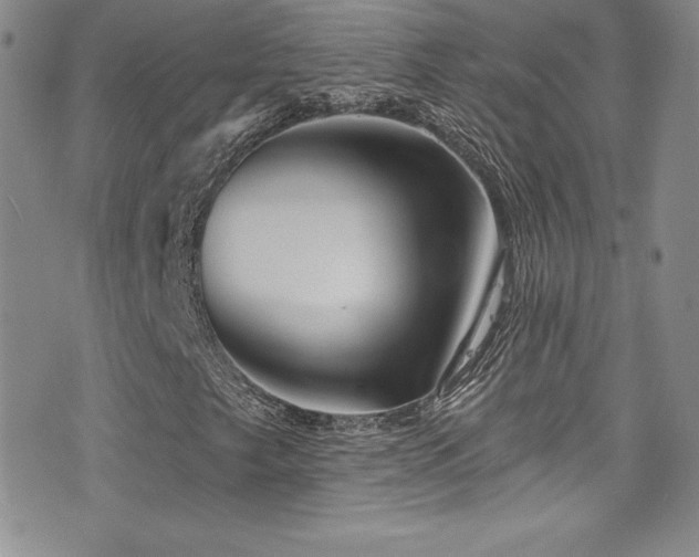 X0000077351249200610201316