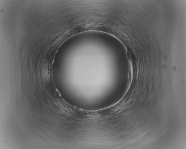 X0000077351250200610201316