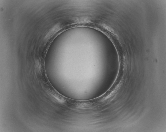 X0000077351257200610201315