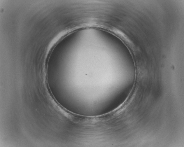 X0000077351286200610201315