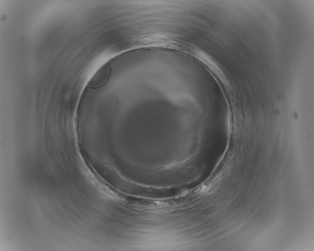 X0000077351291200610201315