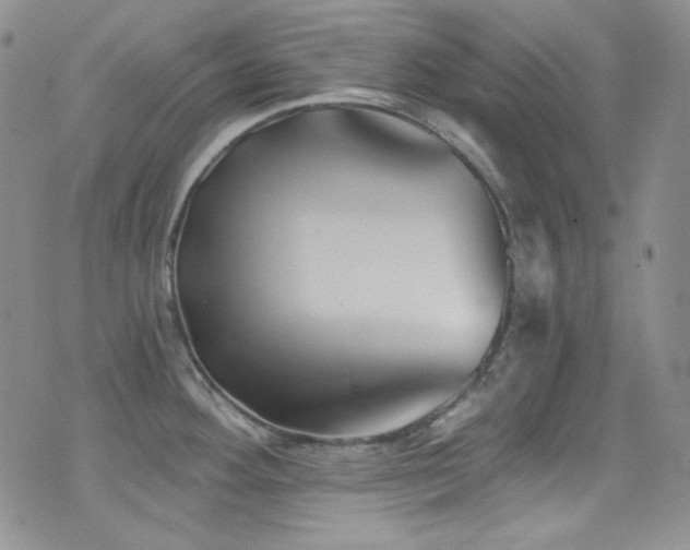 X0000077351292200610201315