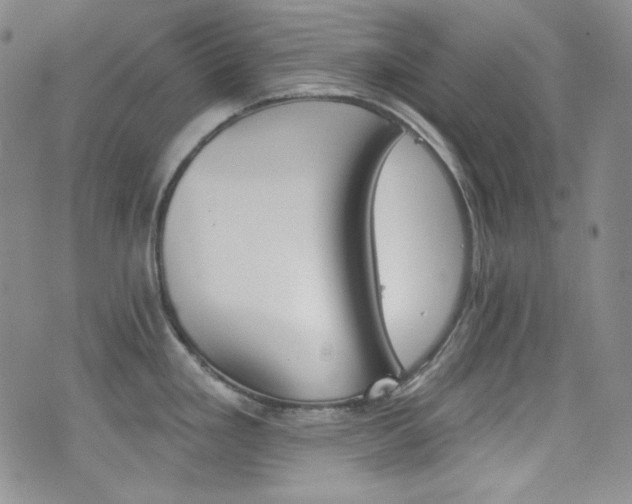 X0000077351293200610201315