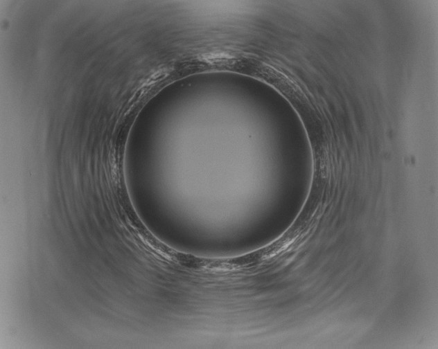 X0000077351298200610201314