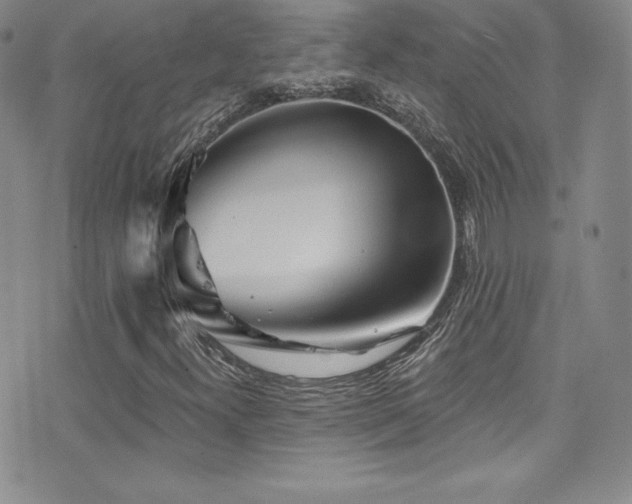 X0000077351300200610201314