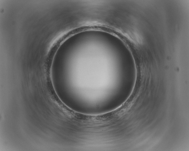 X0000077351311200610201314